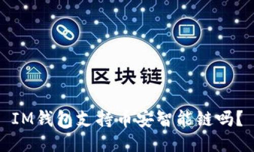 IM钱包支持币安智能链吗？