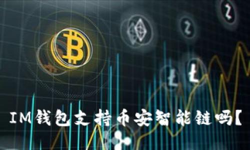 IM钱包支持币安智能链吗？