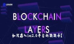 如何存入im2.0平台的狗狗币？