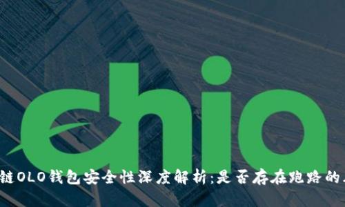 区块链OLO钱包安全性深度解析：是否存在跑路的风险？