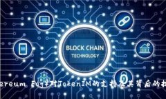 以太雾（Ethereum Fog）对TokenIM的支持及