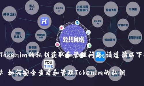 关于Tokenim的私钥获取和管理问题，请遵循以下指导：

### 如何安全查看和管理Tokenim的私钥
