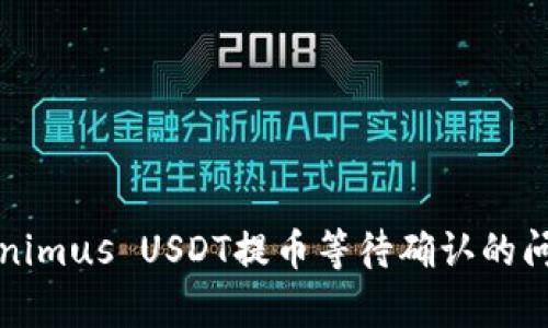 全面解析Tokenimus USDT提币等待确认的问题及解决方案