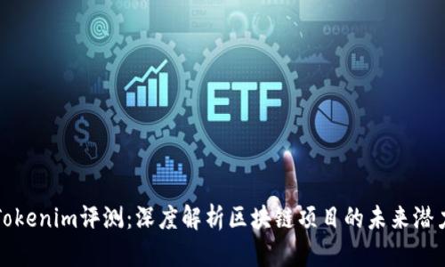 Tokenim评测:深度解析区块链项目的未来潜力