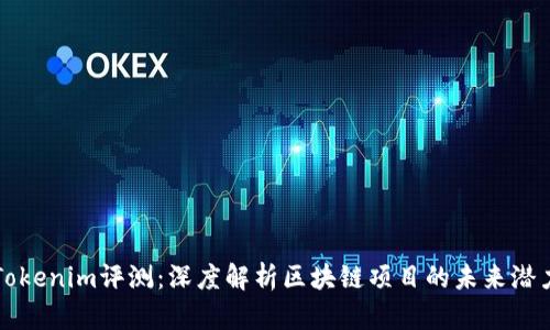 Tokenim评测:深度解析区块链项目的未来潜力