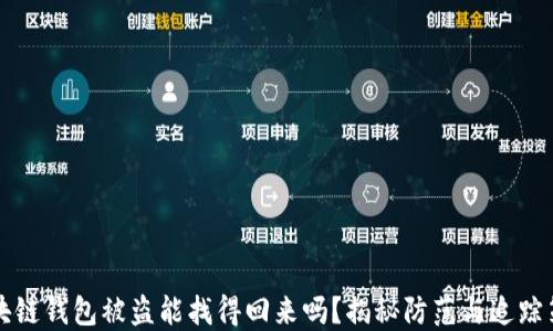 区块链钱包被盗能找得回来吗?揭秘防范与追踪策略