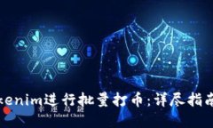 如何利用Tokenim进行批量打币：详尽指