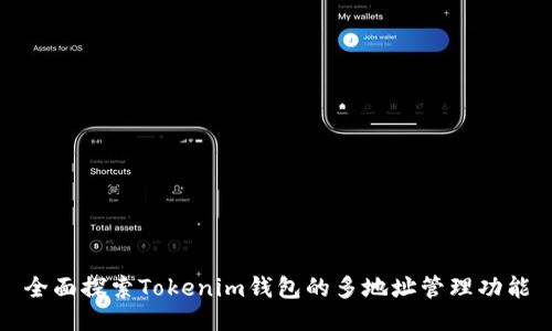 全面探索Tokenim钱包的多地址管理功能