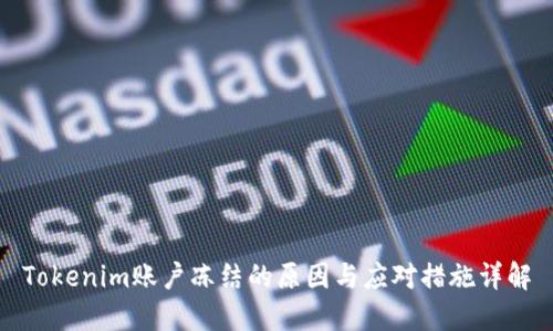 Tokenim账户冻结的原因与应对措施详解