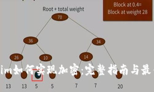 Tokenim如何实现加密:完整指南与最佳实践