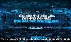 Tokenim风险评测未通过的原因及应对策