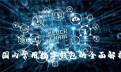 2023年国内常用数字钱包的全面解析与