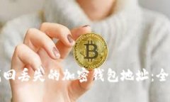 如何找回丢失的加密钱包地址：全面指