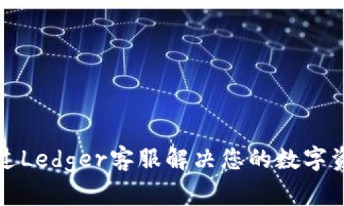 如何通过Ledger客服解决您的数字资产问题