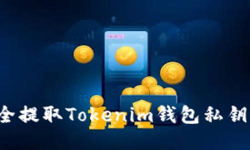 : 如何安全提取Tokenim钱包私钥:全面指南