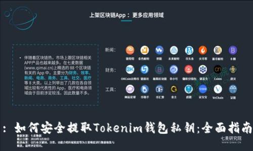 : 如何安全提取Tokenim钱包私钥:全面指南
