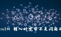 处理 TokenIM 转入时宽带不足问题的解决