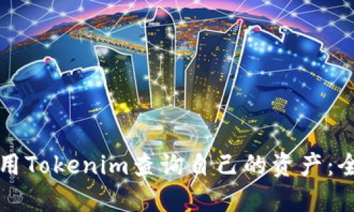 如何使用Tokenim查询自己的资产：全面指南
