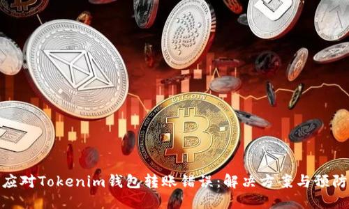 如何应对Tokenim钱包转账错误：解决方案与预防措施