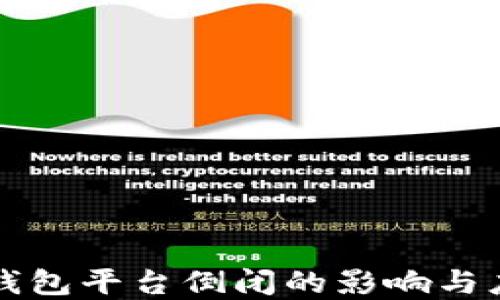 
虚拟币钱包平台倒闭的影响与应对策略