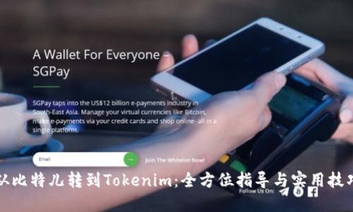 从比特儿转到Tokenim：全方位指导与实用技巧