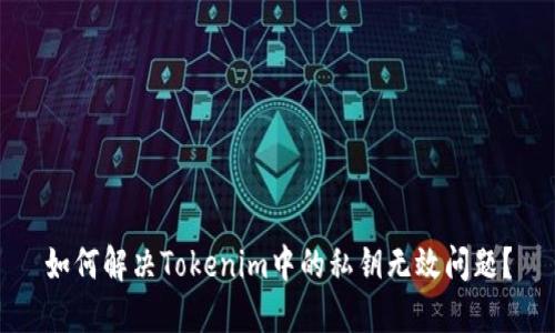 如何解决Tokenim中的私钥无效问题?