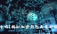加密钱包安全吗？揭秘加密钱包是否会
