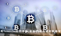 使用Tokenim进行评测：全面指南与实践
