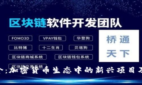 Tokenim简介:加密货币生态中的新兴项目及其发展前景