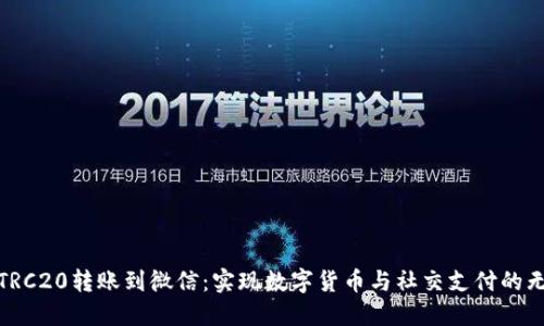 USDT-TRC20转账到微信：实现数字货币与社交支付的无缝连接