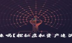 虚拟币能追回来吗？探秘虚拟资产追溯