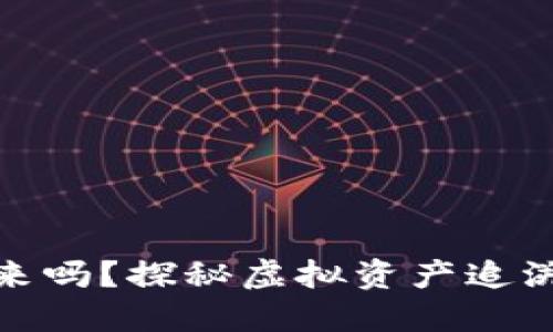 虚拟币能追回来吗？探秘虚拟资产追溯与保障的关键