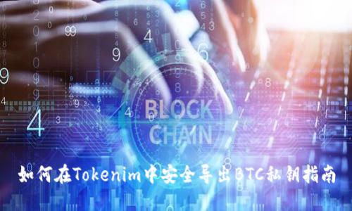 如何在Tokenim中安全导出BTC私钥指南