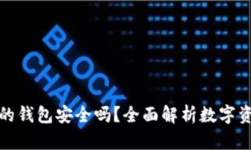 存虚拟币的钱包安全吗？全面解析数字资产安全性