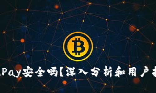 BitPay安全吗?深入分析和用户指南