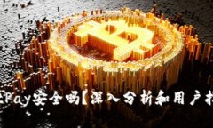 BitPay安全吗？深入分析和用户指南