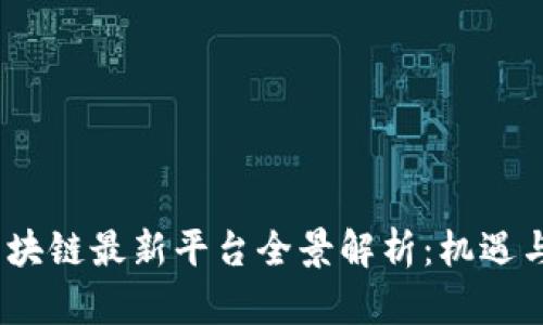 2023年区块链最新平台全景解析:机遇与挑战并存