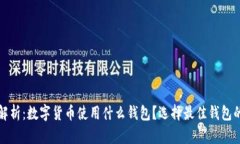 全面解析：数字货币使用什么钱包？选