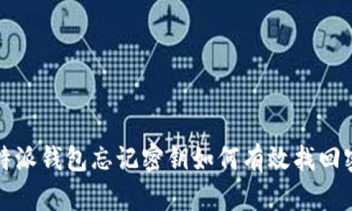 比特派钱包忘记密钥如何有效找回密码