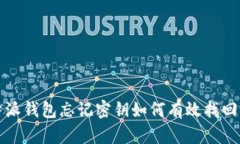 比特派钱包忘记密钥如何有效找回密码