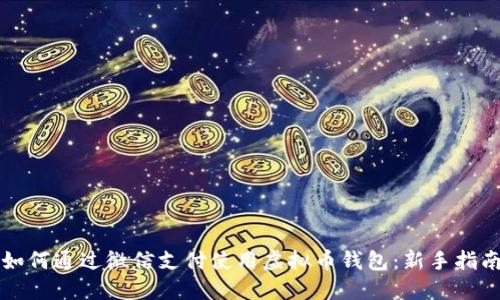 如何通过微信支付使用虚拟币钱包:新手指南