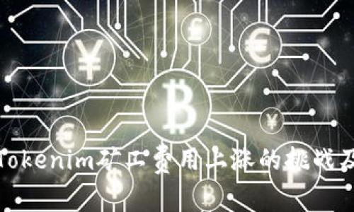 如何应对Tokenim矿工费用上涨的挑战及解决方案