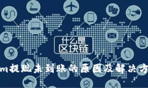 Tokenim提现未到账的原因及解决方案详解