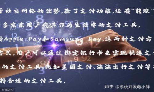 国内常用的数字钱包支付工具有很多，下面是一些主要的数字钱包：

1. **支付宝**：作为国内最大的数字支付平台之一，支付宝不只是一个钱包，它涵盖了购物、转账、理财等多种功能。无论是在超市、便利店还是线上购物，支付宝都被广泛接受，用户可以通过手机扫描二维码进行支付。

2. **微信支付**：紧随支付宝之后，微信支付是微信用户中非常流行的选择。它依托于社交网络的优势，除了支付功能，还有“转账”和“红包”等社交化的特点，使得它在年轻人中尤其受欢迎。

3. **京东支付**：虽然京东支付主要依托于京东平台，但它的方便性和安全性使得许多京东用户将其作为生活中的支付工具。

4. **Apple Pay 和 Samsung Pay**：对于使用iPhone或三星手机的用户，可以选择Apple Pay和Samsung Pay。这两种支付方式支持NFC支付，用户只需靠近支付终端即可完成支付，方便快捷。

5. **银联钱包**：作为中国银行卡联合组织，银联钱包提供了一种安全、便捷的支付方式，用户可以通过绑定银行卡来实现快速支付。

6. **其他地方性或行业性支付工具**：在一些特定行业或地区，可能还有一些本地化的支付工具，比如美团支付、滴滴出行支付等等。

总之，国内的数字钱包支付方式非常多样化，用户可以根据自己的需求和使用习惯选择合适的支付工具。