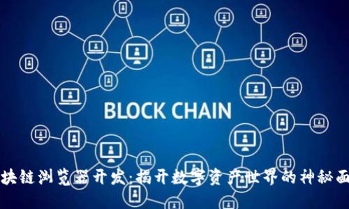 区块链浏览器开发：揭开数字资产世界的神秘面纱