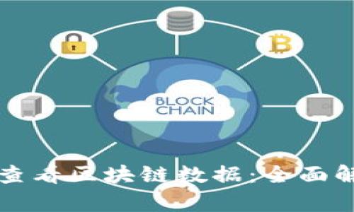 如何有效查看区块链数据：全面解析与指南