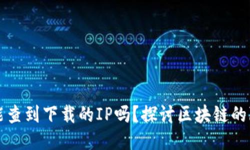 区块链钱包能查到下载的IP吗？探讨区块链的隐私与安全性