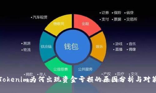 Tokenim为何出现资金亏损的原因分析与对策