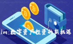 国内Tokenim：数字资产投资的新机遇与