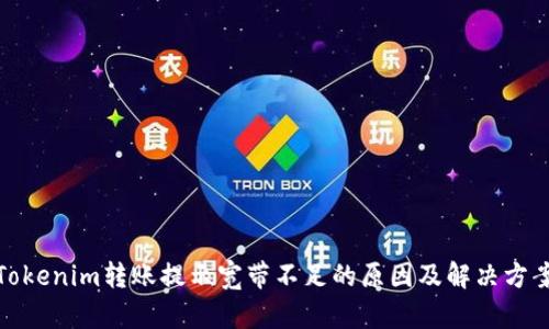 Tokenim转账提示宽带不足的原因及解决方案